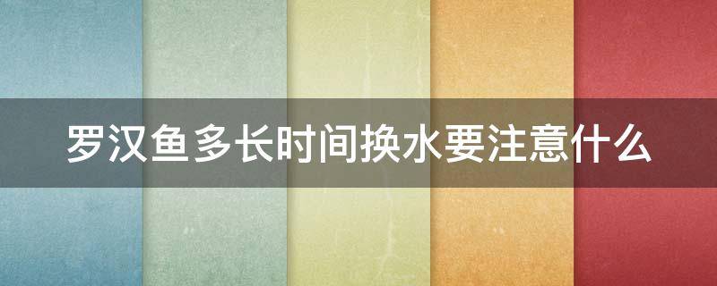 罗汉鱼多长时间换水要注意什么（罗汉鱼多长时间换水要注意什么细菌）