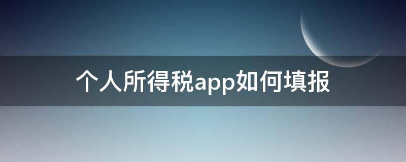 个人所得税app如何填报（个人所得税app怎么填报）