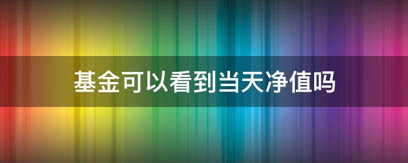 基金可以看到当天净值吗（基金能不能看到当天净值）