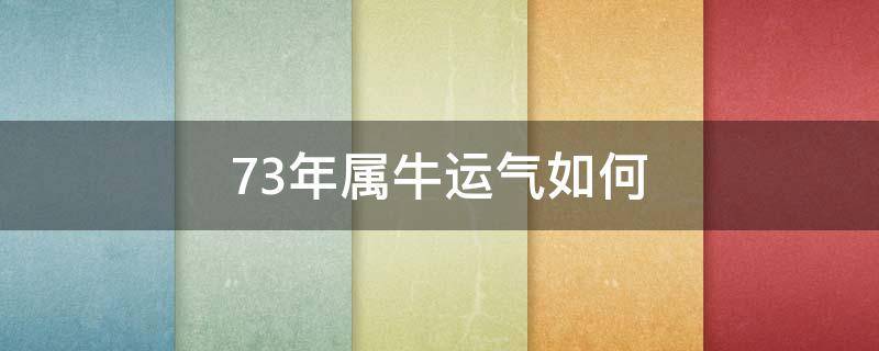 73年属牛运气如何 73年属牛的财运如何