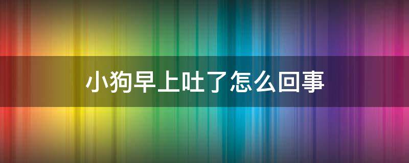 小狗早上吐了怎么回事（狗狗一大早就吐了怎么回事啊?）