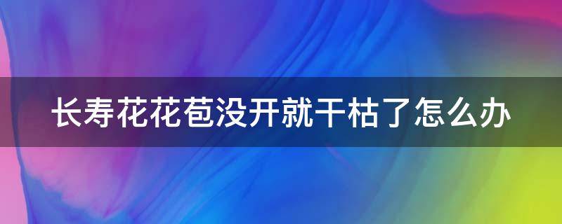 长寿花花苞没开就干枯了怎么办 长寿花花骨朵没开花就干瘪了