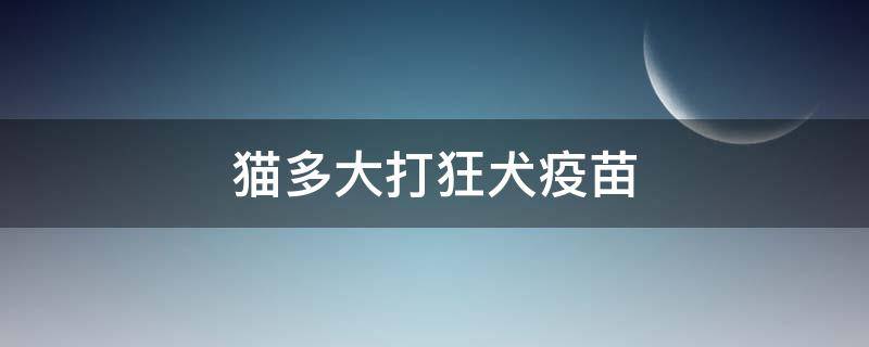 猫多大打狂犬疫苗 猫多大打狂犬疫苗比较好