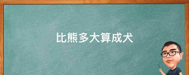 比熊多大算成犬 比熊成犬有多大