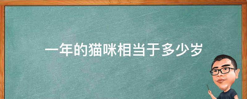 一年的猫咪相当于多少岁 猫咪一年相当于人的多少岁