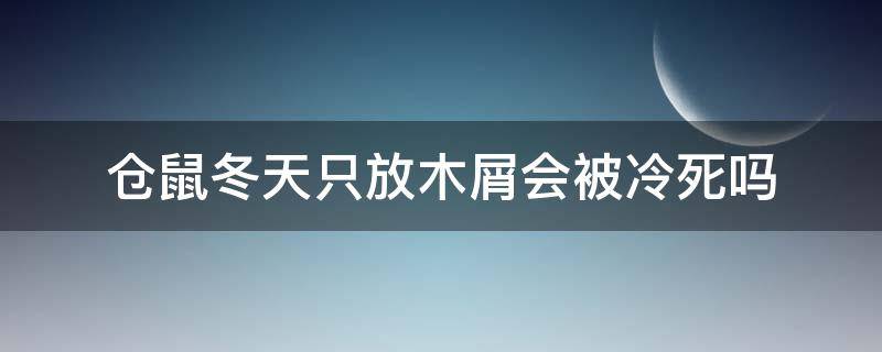 仓鼠冬天只放木屑会被冷死吗 仓鼠冬天不放木屑会被冷死吗