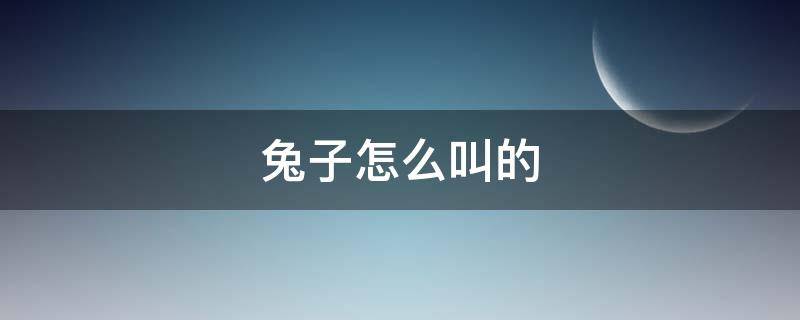 兔子怎么叫的（兔子怎么叫的叫声）