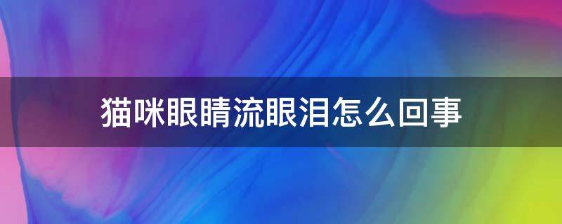 猫咪眼睛流眼泪怎么回事 猫咪眼睛流眼泪咋回事