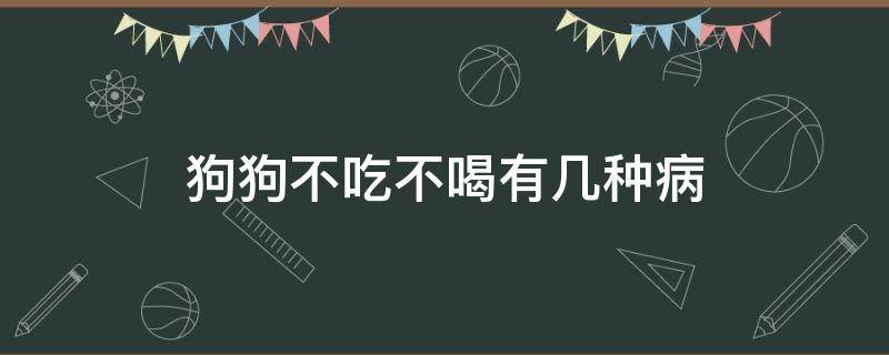 狗狗不吃不喝有几种病（狗狗什么病都没有就是不吃不喝）