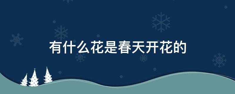 有什么花是春天开花的 哪些花是春天开花的