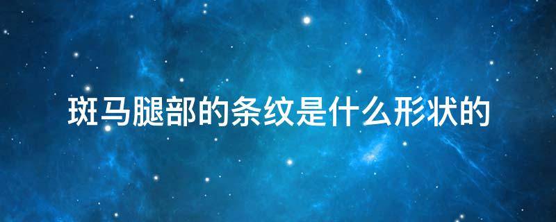 斑马腿部的条纹是什么形状的 斑马腿部的条纹是什么形状的森林驿站