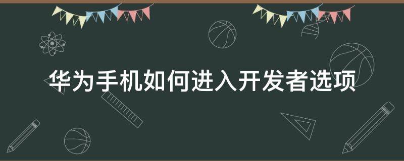 华为手机如何进入开发者选项 华为怎样进入开发者选项