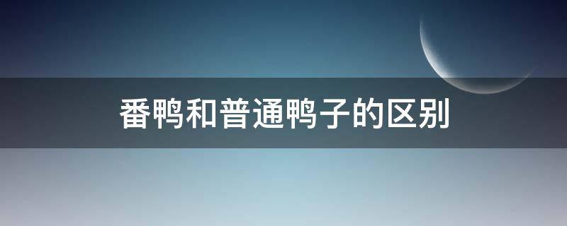 番鸭和普通鸭子的区别 番鸭和普通鸭子的区别图文