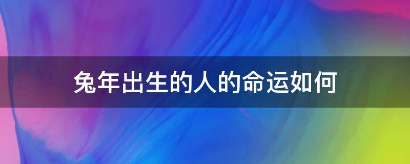 兔年出生的人的命运如何 兔年出生月份命运如何