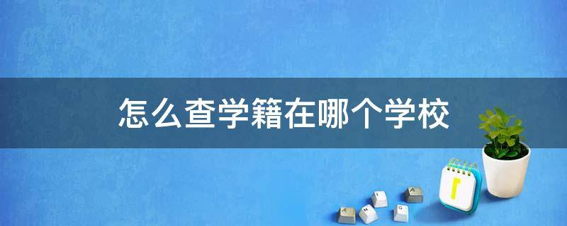 怎么查学籍在哪个学校 怎么查学籍在哪个学校学信网