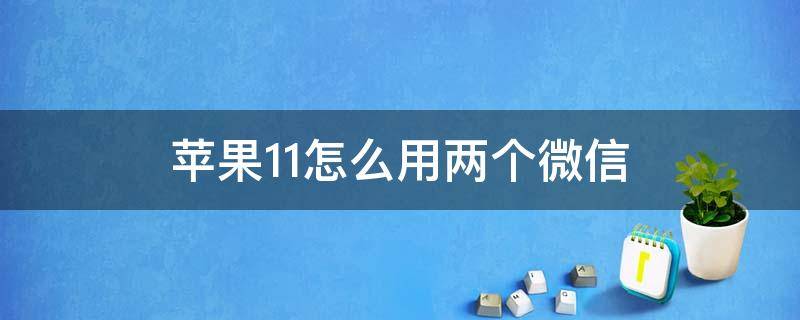 苹果11怎么用两个微信（苹果11怎么用两个微信免费下载地址）