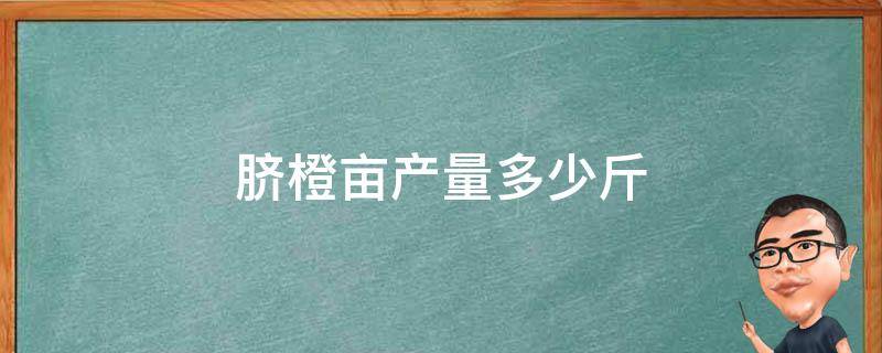 脐橙亩产量多少斤 脐橙一亩地能产多少斤