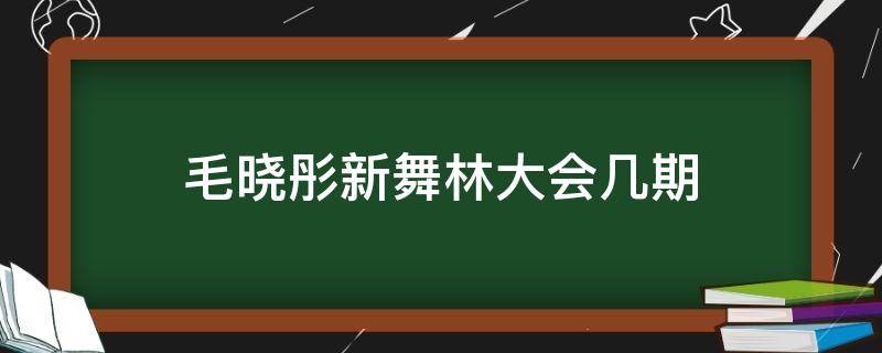 毛晓彤新舞林大会几期（新舞林大会毛晓彤第几期）