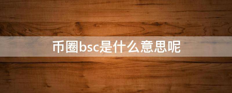 币圈bsc是什么意思呢 bsc链上的币