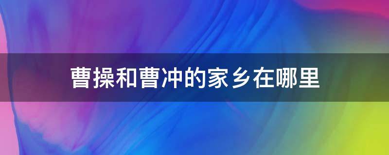 曹操和曹冲的家乡在哪里（曹冲跟曹操什么关系）