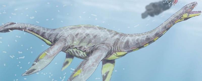 plesiosaurus是什么恐龙 rioarribasaurus是什么恐龙