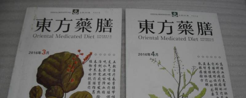 东方药膳哪个网收录 东方药膳杂志社