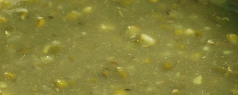如何煮出碧绿的绿豆沙 绿豆怎么煮出沙沙的感觉