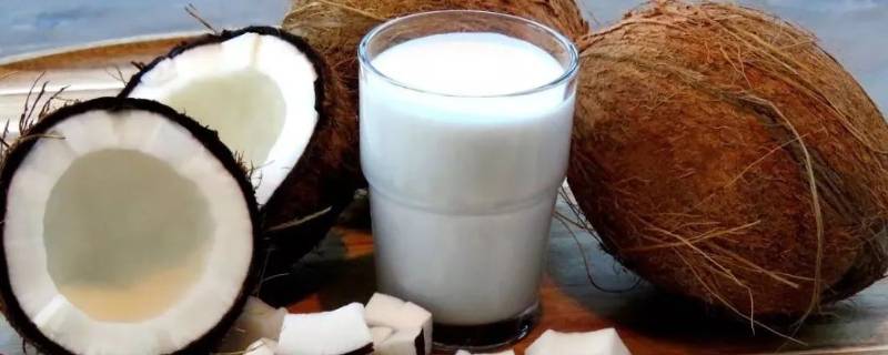 椰浆怎么调椰奶 椰浆可以调成椰奶吗