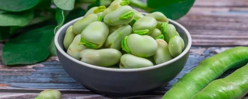 蚕豆怎样做好吃 蚕豆如何做好吃?