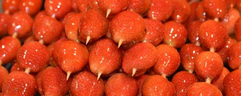 草莓冰糖葫芦制作方法（草莓冰糖葫芦制作方法窍门）
