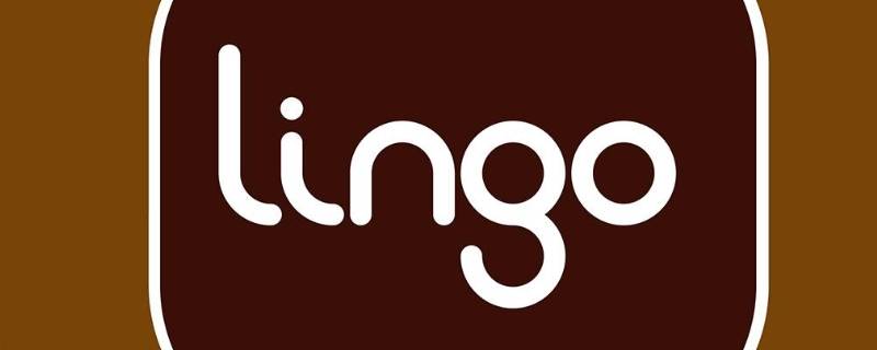 lingo是什么软件 lingos是什么软件