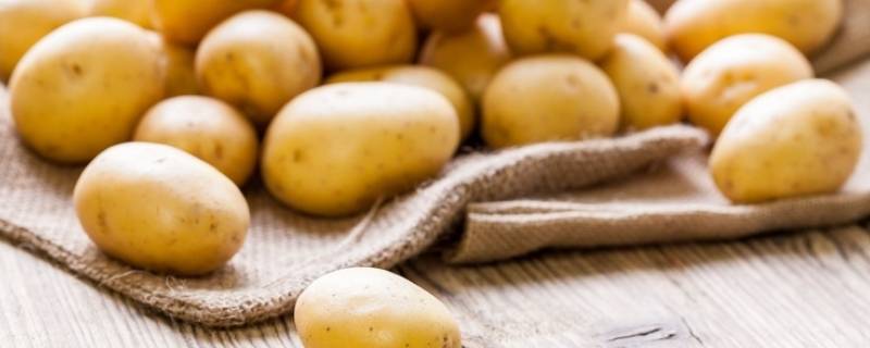 土豆热量是多少 土豆热量是多少千焦