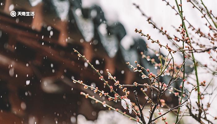 为什么说下雪不冷化雪冷