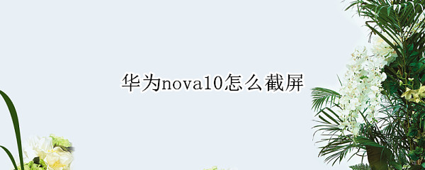 华为nova10怎么截屏 华为nova怎样截屏