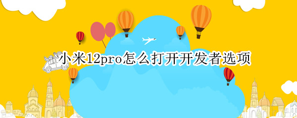 小米12pro怎么打开开发者选项（小米11pro开发者选项怎么设置）