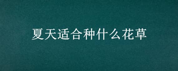 夏天适合种什么花草 夏季适合种什么花草