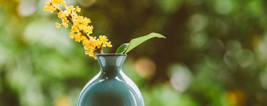 桂花酒怎么泡 桂花酒怎么泡酒好喝