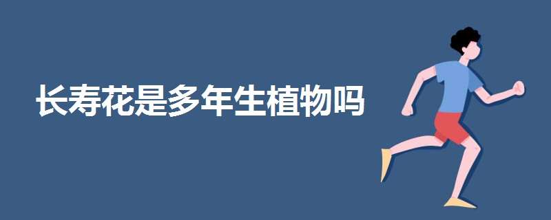 长寿花是多年生植物吗 长寿花是多年生植物吗为什么