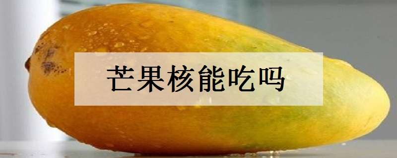 芒果核能吃吗 芒果核能吃吗有什么功效