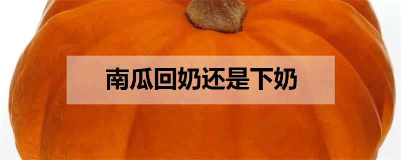 南瓜回奶还是下奶 月子里为啥不能吃南瓜