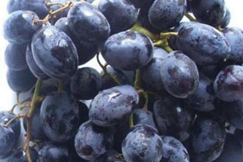 提子和葡萄的区别 提子和葡萄哪个营养高