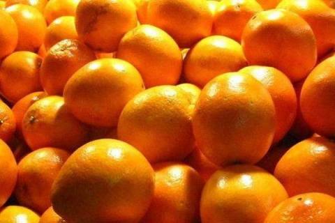 橙子挑选技巧有哪些 如何购买更香甜