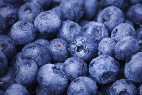 蓝莓储存方法和时间如何延长保鲜期 蓝莓的保存方式
