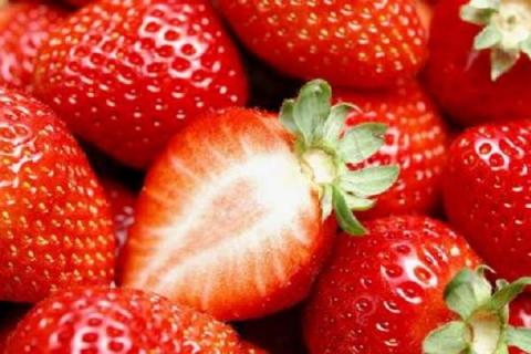 草莓开花了还能施肥吗 施什么肥效果好