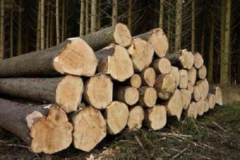 砍下的树怎么防止开裂（木头防裂的简单办法）
