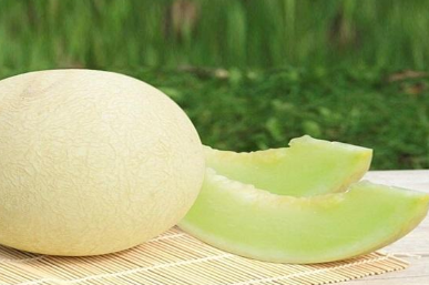 白兰瓜的功效与作用是什么 白兰瓜营养价值及功效与作用