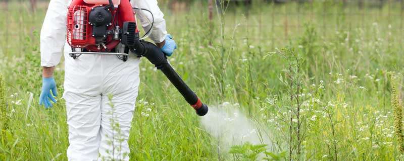 打过除草剂的喷雾器如何清洗 喷雾器打过除草农药用什么方法清洗