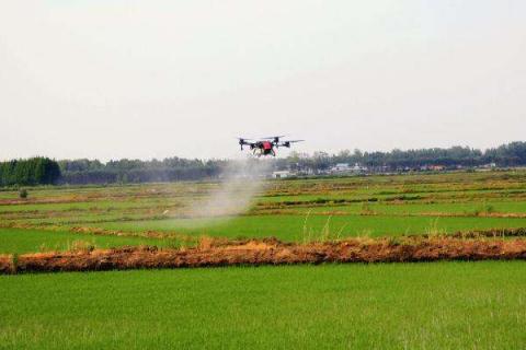 使它隆除草剂说明书