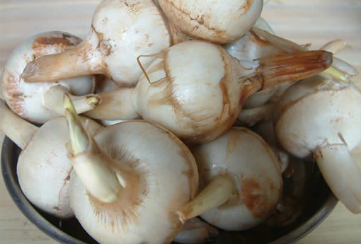 慈菇 茨菇怎么做好吃又简单