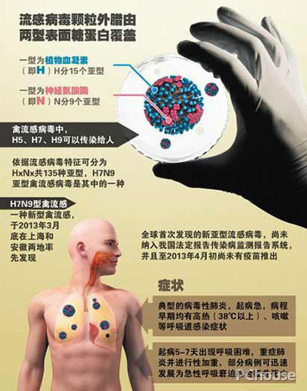 H7N9的发病症状 h7n9是什么病毒